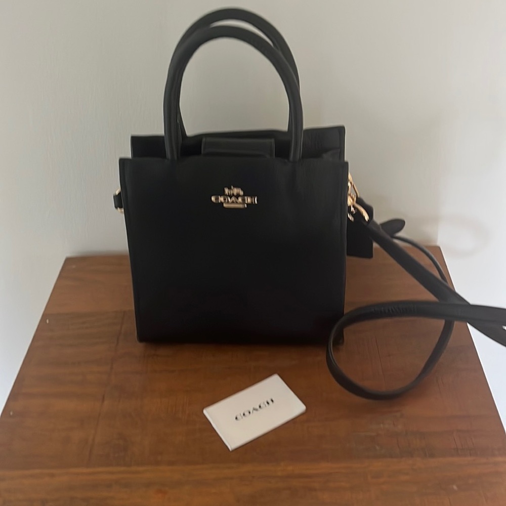 Coach Mini Bag